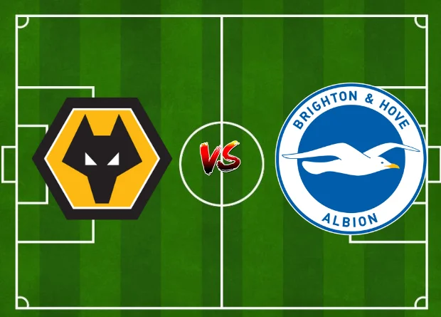 EPL Fixtures Today, you can follow the Starting Lineup For Wolves vs Brighton & Hove Albion along with results in Live Score.