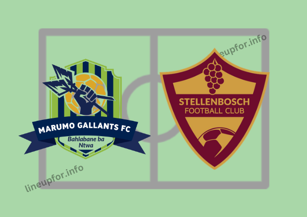 Starting Lineup for Gallants Vs Stellenbosch, live Score 04/03/2025